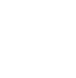 cases-icon.png