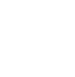 cases-icon.png