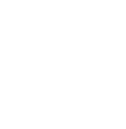 cases-icon.png