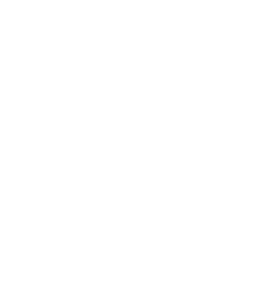 cases-icon.png