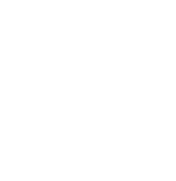 cases-icon.png